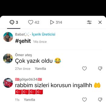 TikTok Kullanıcısının Uygunsuz İçeriği Hakkında Şikayet