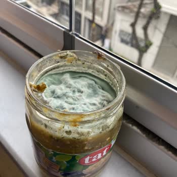 Tat Gıda Tat'ın Küflü Közlenmiş Patlıcanı