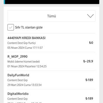 Vizyon Elektronik Para Ve Ödeme Kuruluşu A. Ş
