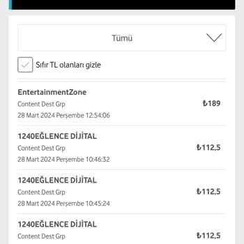 Vizyon Elektronik Para Ve Ödeme Kuruluşu A. Ş