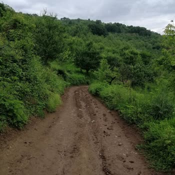 Kocaeli Büyükşehir Belediyesi Kartepe Eşme Tarla Yolları Çok Kötü Yollar Çok Bozuk