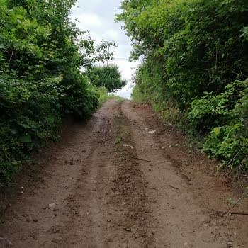 Kocaeli Büyükşehir Belediyesi Kartepe Eşme Tarla Yolları Çok Kötü Yollar Çok Bozuk