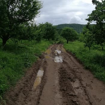 Kocaeli Büyükşehir Belediyesi Kartepe Eşme Tarla Yolları Çok Kötü Yollar Çok Bozuk