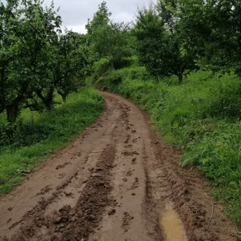 Kocaeli Büyükşehir Belediyesi Kartepe Eşme Tarla Yolları Çok Kötü Yollar Çok Bozuk
