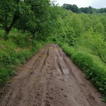 Kocaeli Büyükşehir Belediyesi Kartepe Eşme Tarla Yolları Çok Kötü Yollar Çok Bozuk
