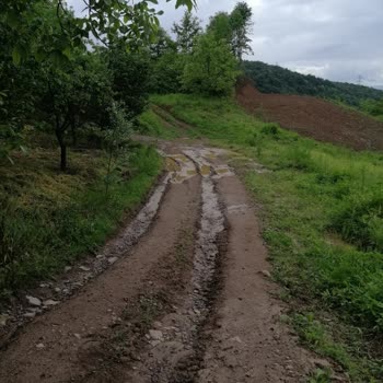 Kocaeli Büyükşehir Belediyesi Kartepe Eşme Tarla Yolları Çok Kötü Yollar Çok Bozuk
