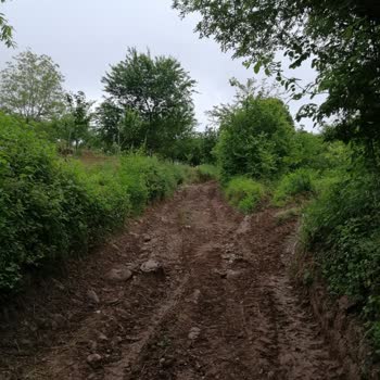 Kocaeli Büyükşehir Belediyesi Kartepe Eşme Tarla Yolları Çok Kötü Yollar Çok Bozuk
