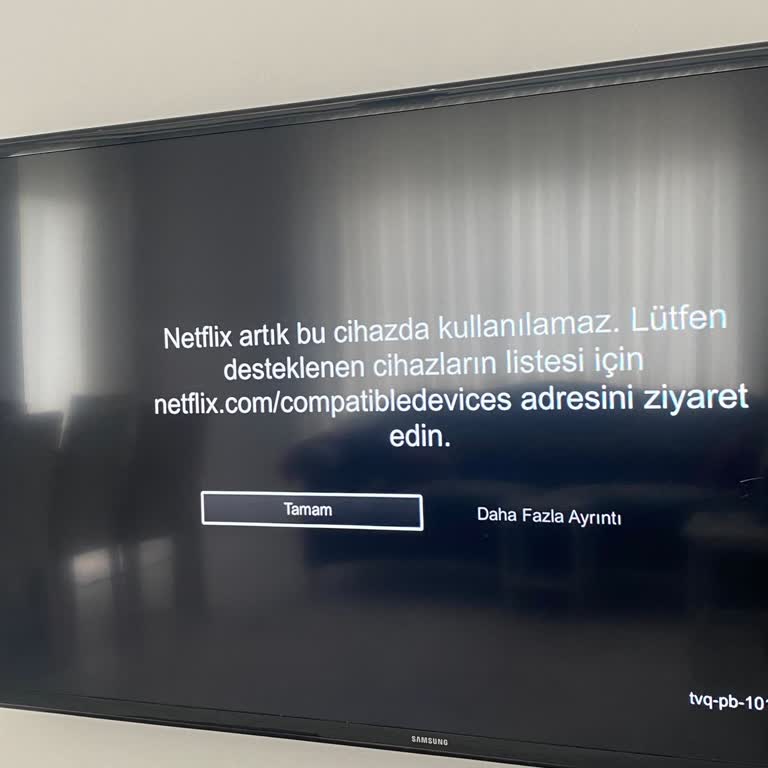 Samsung TV Netflix İ Desteklemiyor!