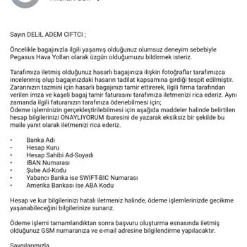 Kırık Bavul Pegasus Havayolu