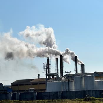 Çevre, Şehircilik Ve İklim Değişikliği Bakanlığı Ayvalık Doğuş Prina Fabrikası Duman Sorunu