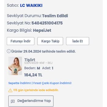 LCW T-shirt Delik Geldi