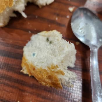 Afyon İstiklal Dinlenme Tesisleri İstiklal Dinleneme Tesisi Küflü Ekmekler