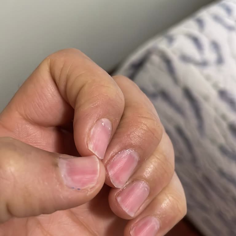 Eylül Öztürk TEM Avrupa 2