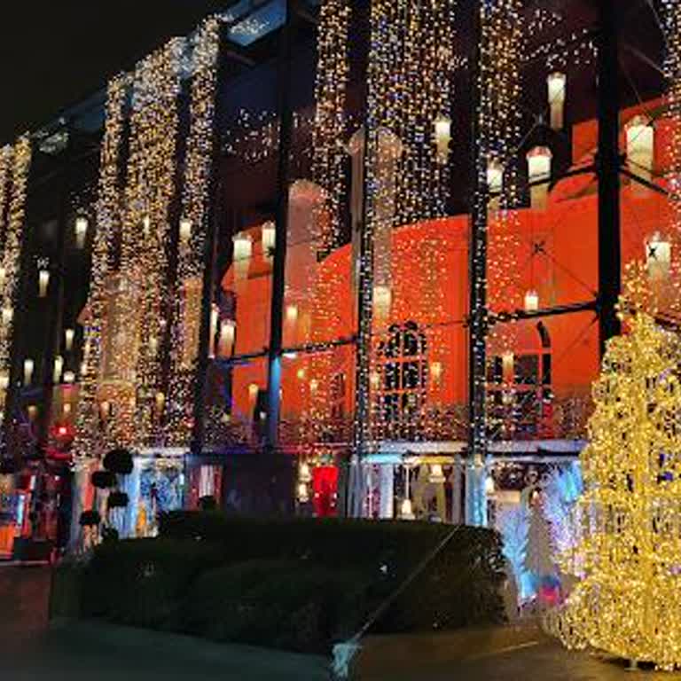 Betilton VİP'lere Davranışları Hakkında