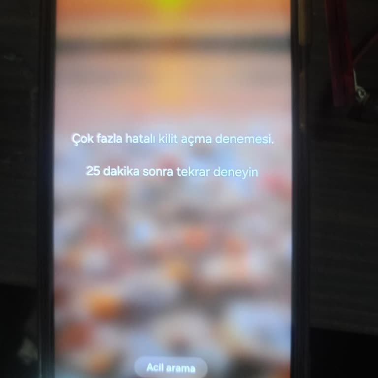 Samsung Telefon Kendi Kendine Şifre Koydu