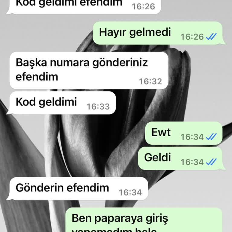 Server Paketleme (Cartepak.online) Lütfen Biri Yazdıklarımı Okusun