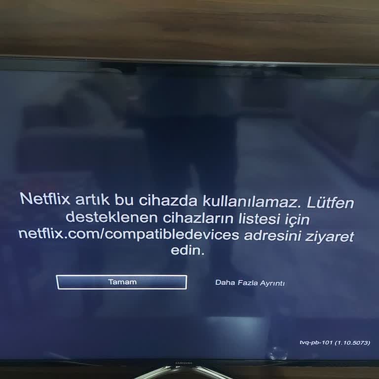 Samsung TV'de Netflix Erişim Sorunu