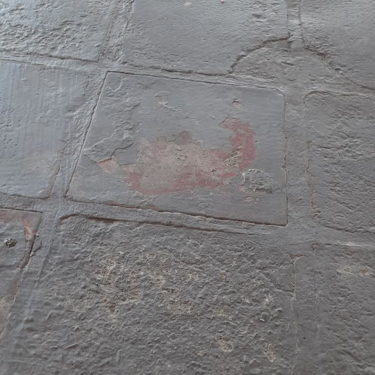 Bitlo Giriş Problemi Üç Gündür Giriş Yapamıyorum