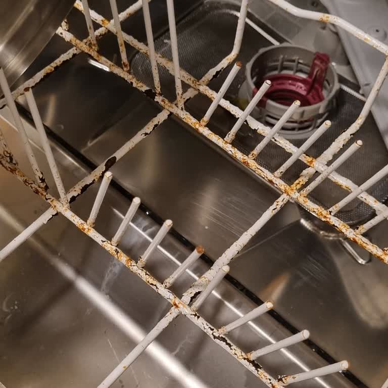 Arçelik 6233 Bulaşık Mak. Sepet Küflenmesi