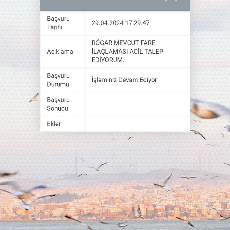 İBB Lağım Fareleri Çözüm Hk.