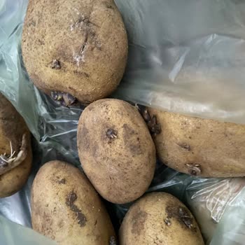 Mopaş Market Umursamaz Tavırları