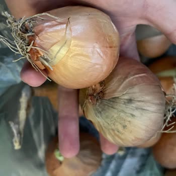 Mopaş Market Umursamaz Tavırları