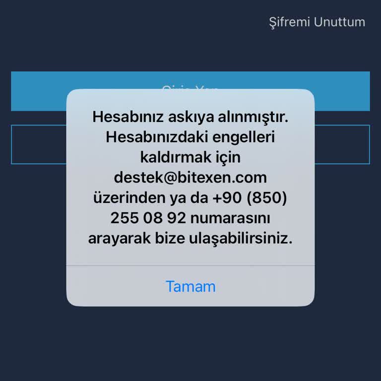Bitexen Hesabım Askıya Alındı