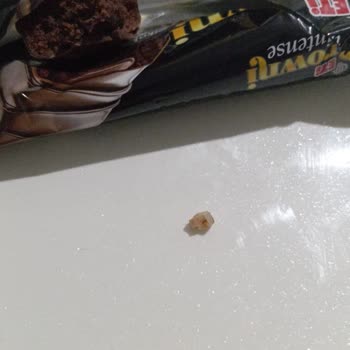 Eti Gıda Hijyen Sorunu: Browni'den Beklenmedik Misafir!