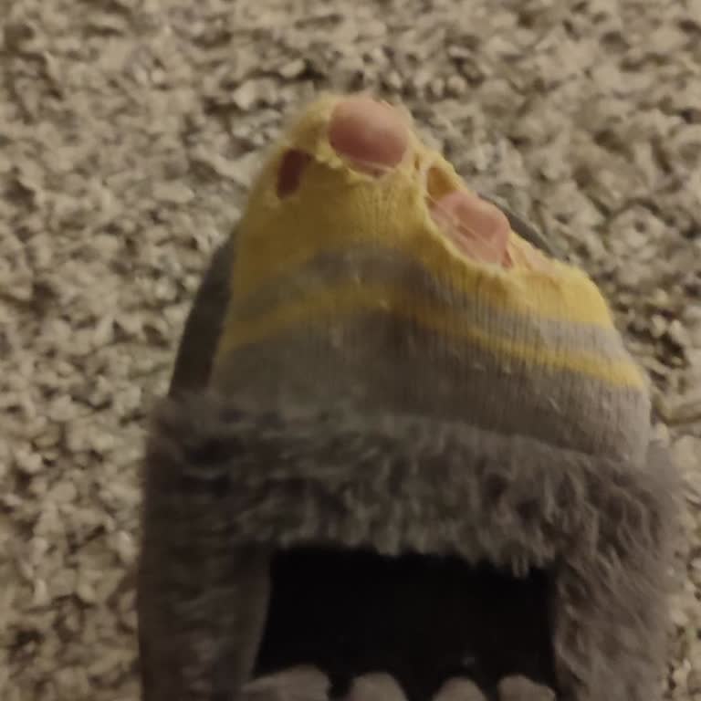 LCW Kalitesiz Ürün