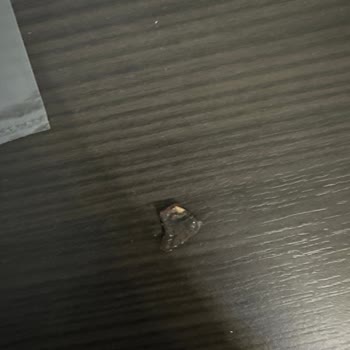 BİM Kıbrıs Tatlısı İçinden Kabuk Benzeri Bir Şey Çıktı