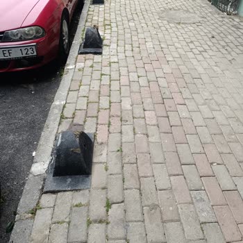 İBB - İstanbul Büyükşehir Belediyesi Park Sorunu Araç