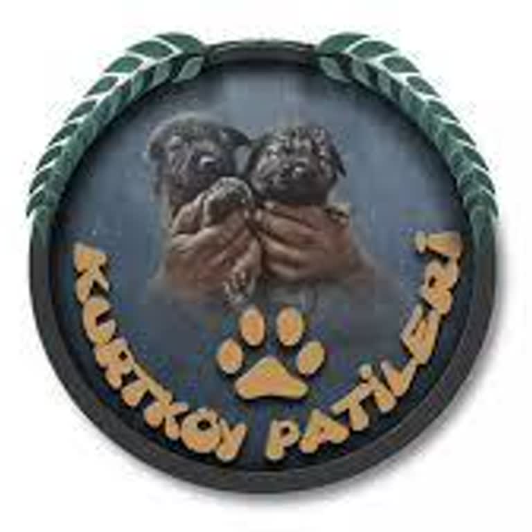 Kurtköy Patileri İsmimin Bulunduğu Davet Resmini Silmeyen Dernek!