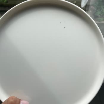 Porland Ücret İadesi Sorunu