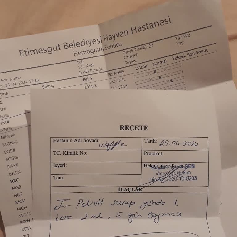 Etimesgut Belediyesi Etimesgut Hayvan Hastanesinde İhmalsizlik