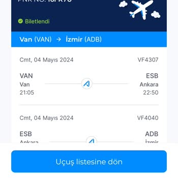 Uzun Rötar Ve İlgisizlik: Van-İzmir Ajet Uçuşu Mağduriyeti