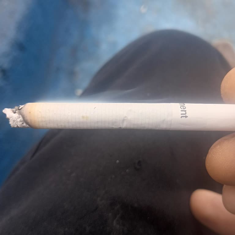 Philip Morris Sarı Küf Lekesi