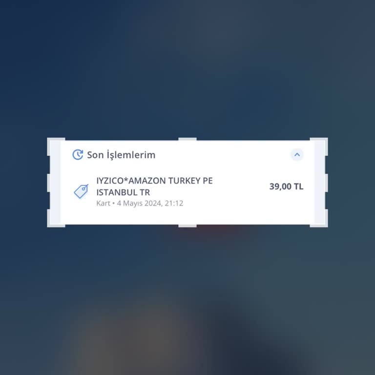 iyzico Hesabımdan Para Çekilmiş