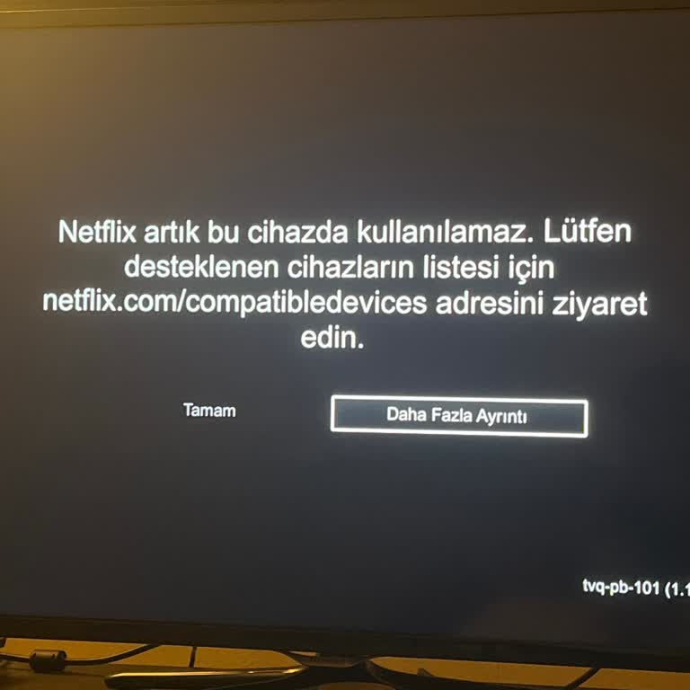Samsung Netflix Güncellemesini Desteklememe Sorunu