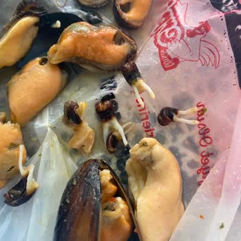 Metro Market Kabuklu Midye ( Temizlenmemiş, Bozuk )