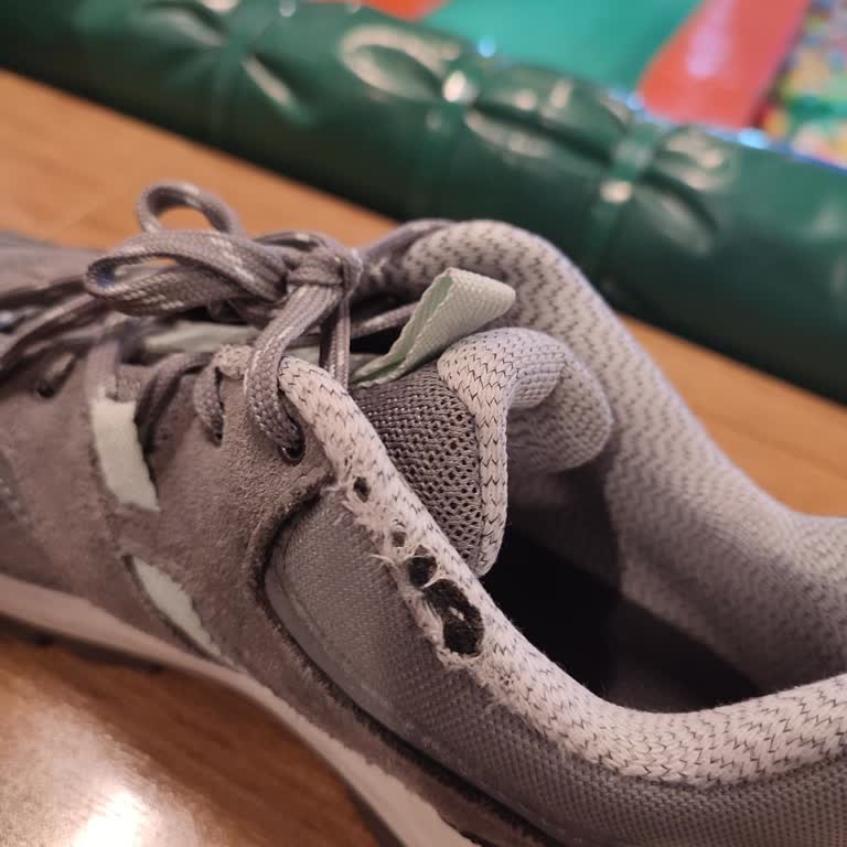 Decathlon Şikayet Var Ayakkabı İki Sefer Giymede Yırtıldı