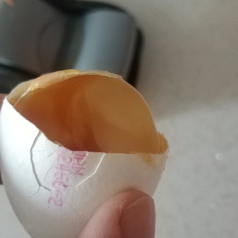 Şişman Yumurta Yine Bildiğiniz Gibi