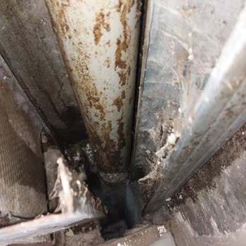 Real Yönetim İlgisiz!