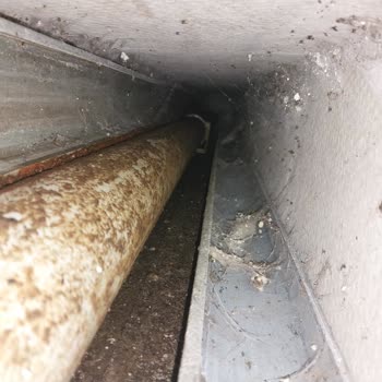 Real Yönetim İlgisiz!