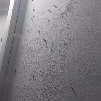 Real Yönetim İlgisiz!