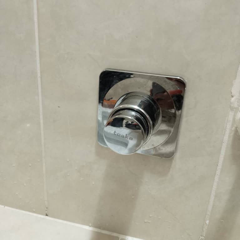 Teska Bas Bırak Vana Su Kaçırıyor