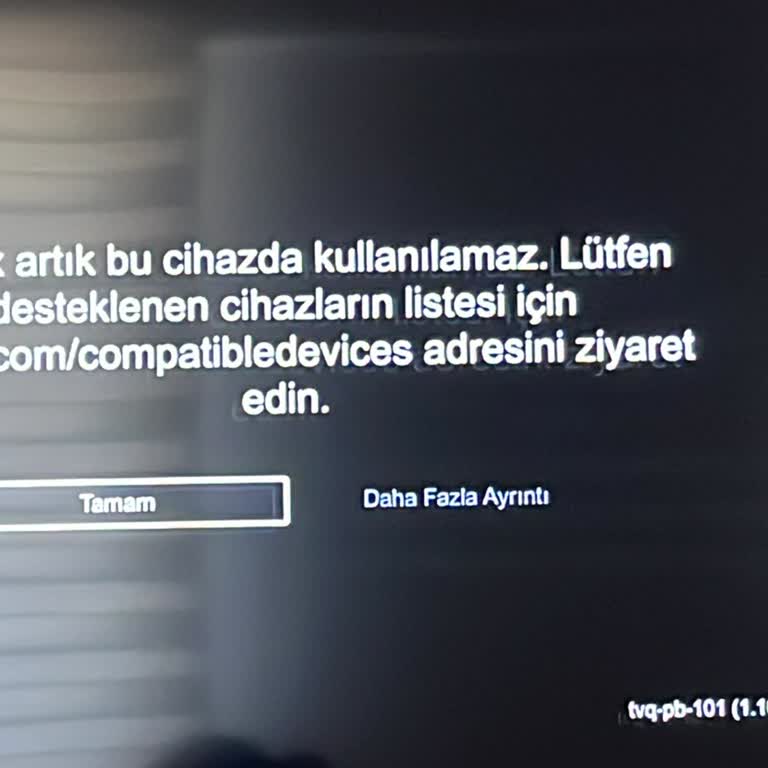 2018 Model Samsung Smart TV'de Netflix Erişim Sorunu