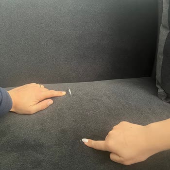 Sakarya Enza Home Yırtık Koltuk