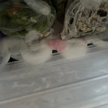 Uğur Derin Dondurucu Karlanıyor!