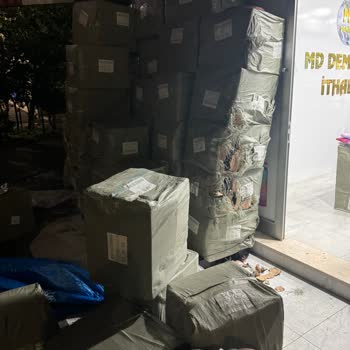 İBB - İstanbul Büyükşehir Belediyesi İstanbul'da Çaresiz Kediler