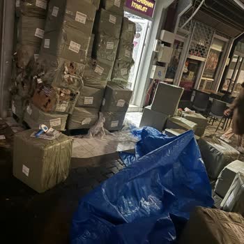 İBB - İstanbul Büyükşehir Belediyesi İstanbul'da Çaresiz Kediler